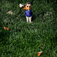 Illustration for article titled What The Paterno Familys Investigation Got Right And Wrong About The Freeh Report